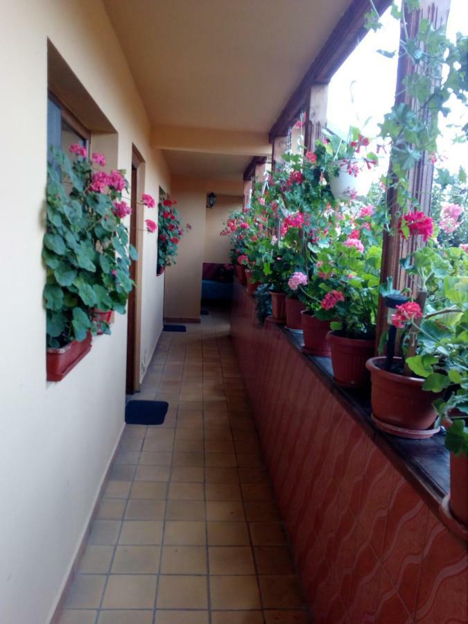 Pensiunea Cristiana Curtea De Arges Exterior photo